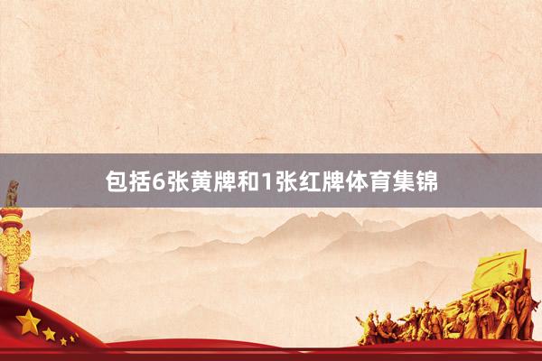 包括6张黄牌和1张红牌体育集锦