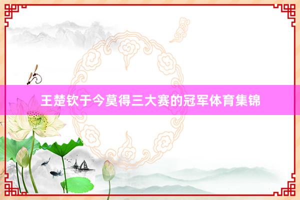 王楚钦于今莫得三大赛的冠军体育集锦
