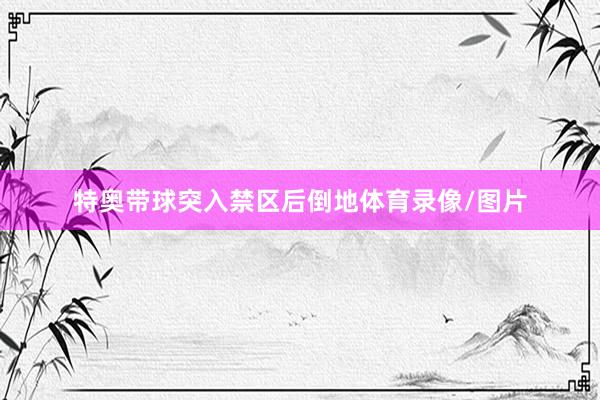 特奥带球突入禁区后倒地体育录像/图片
