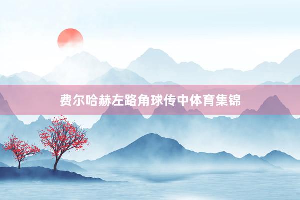 费尔哈赫左路角球传中体育集锦