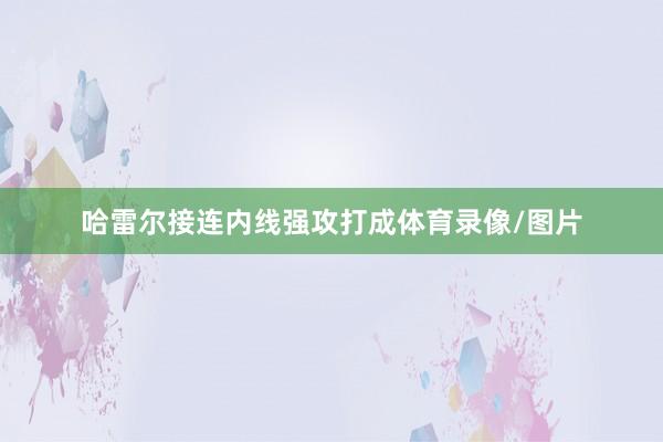 哈雷尔接连内线强攻打成体育录像/图片