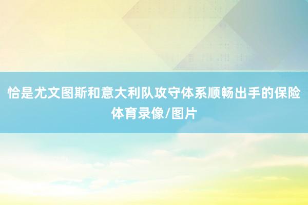 恰是尤文图斯和意大利队攻守体系顺畅出手的保险体育录像/图片