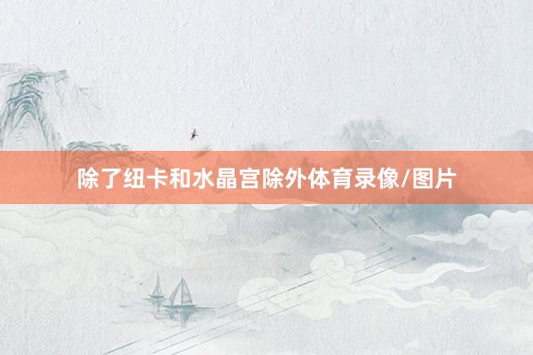 除了纽卡和水晶宫除外体育录像/图片
