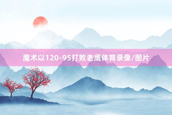 魔术以120-95打败老鹰体育录像/图片