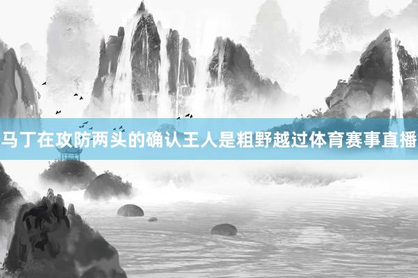 马丁在攻防两头的确认王人是粗野越过体育赛事直播