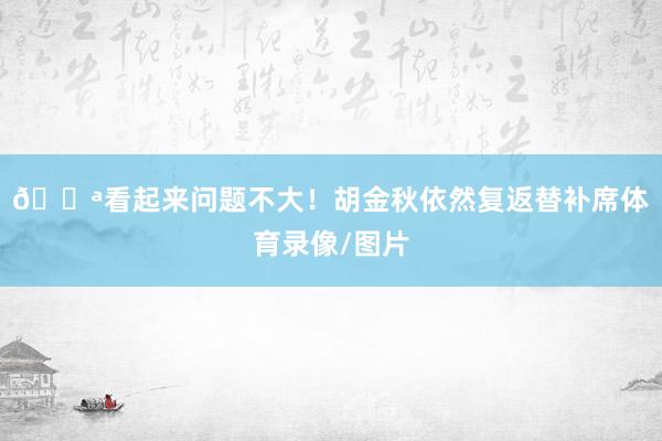 💪看起来问题不大！胡金秋依然复返替补席体育录像/图片