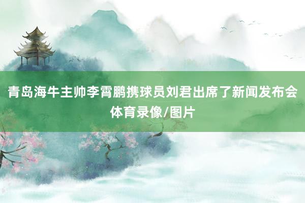 青岛海牛主帅李霄鹏携球员刘君出席了新闻发布会体育录像/图片