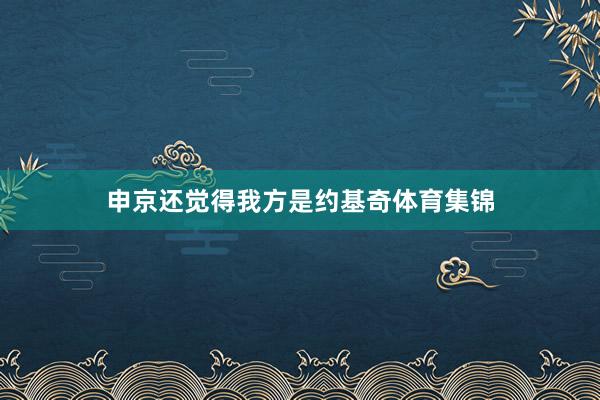 申京还觉得我方是约基奇体育集锦