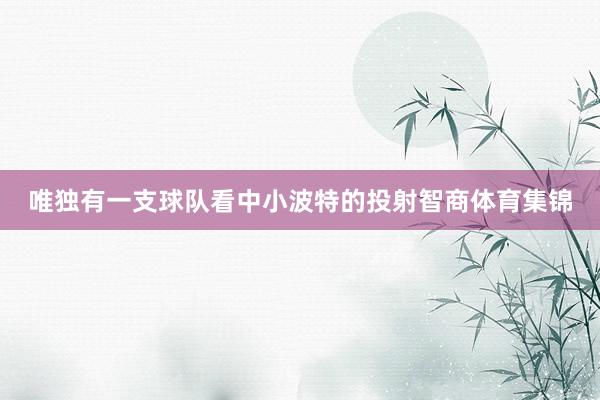唯独有一支球队看中小波特的投射智商体育集锦