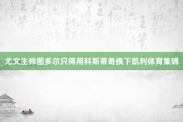 尤文主帅图多尔只得用科斯蒂奇换下凯利体育集锦