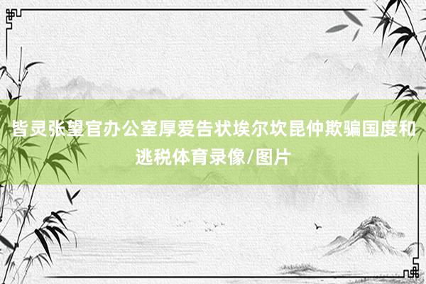 皆灵张望官办公室厚爱告状埃尔坎昆仲欺骗国度和逃税体育录像/图片