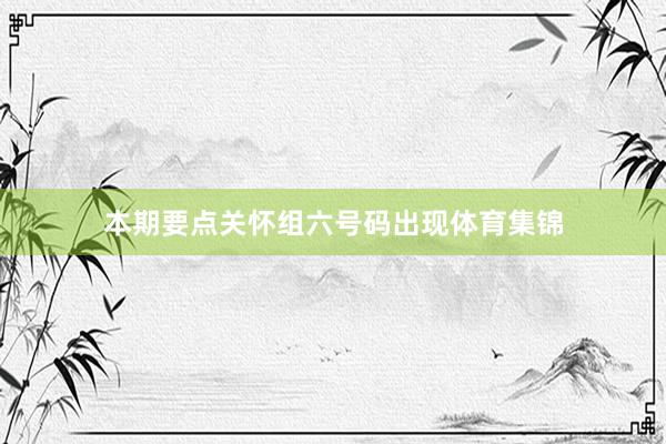 本期要点关怀组六号码出现体育集锦