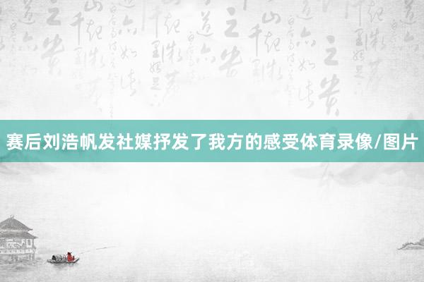 赛后刘浩帆发社媒抒发了我方的感受体育录像/图片