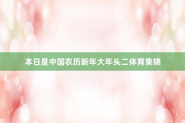 本日是中国农历新年大年头二体育集锦