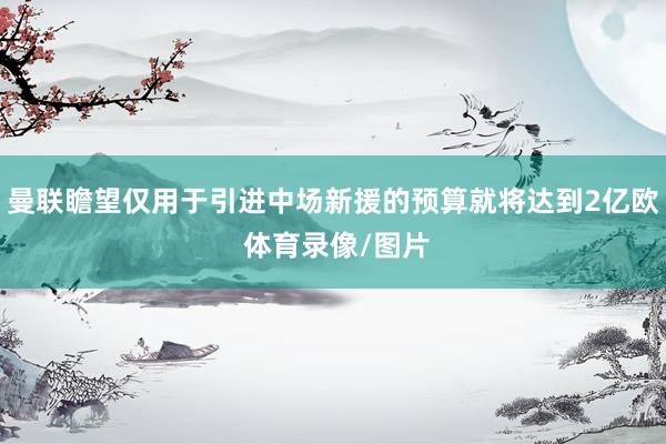 曼联瞻望仅用于引进中场新援的预算就将达到2亿欧 体育录像/图片
