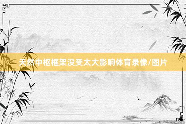 天然中枢框架没受太大影响体育录像/图片