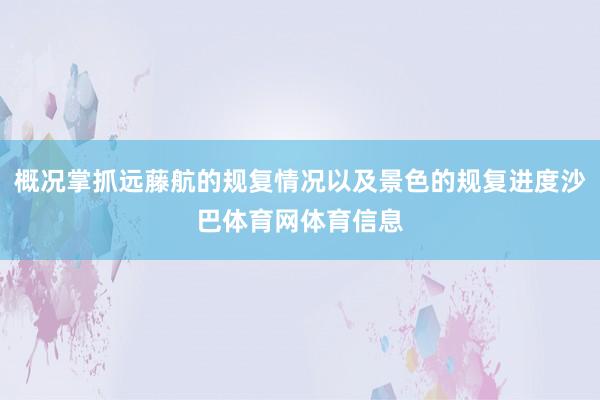 概况掌抓远藤航的规复情况以及景色的规复进度沙巴体育网体育信息