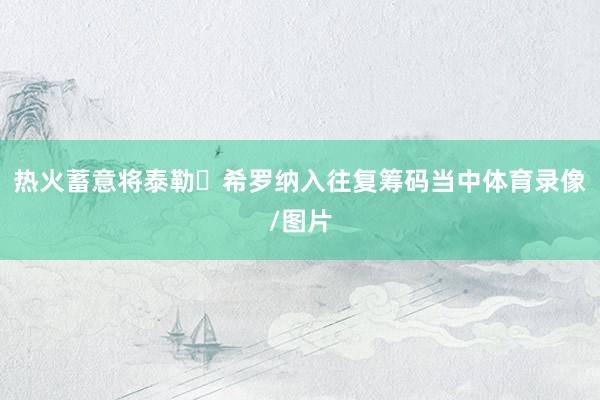 热火蓄意将泰勒・希罗纳入往复筹码当中体育录像/图片