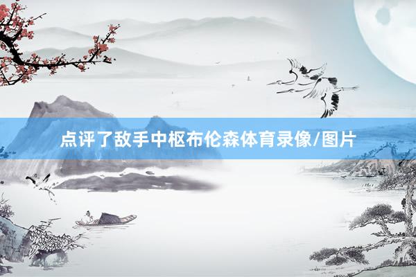 点评了敌手中枢布伦森体育录像/图片